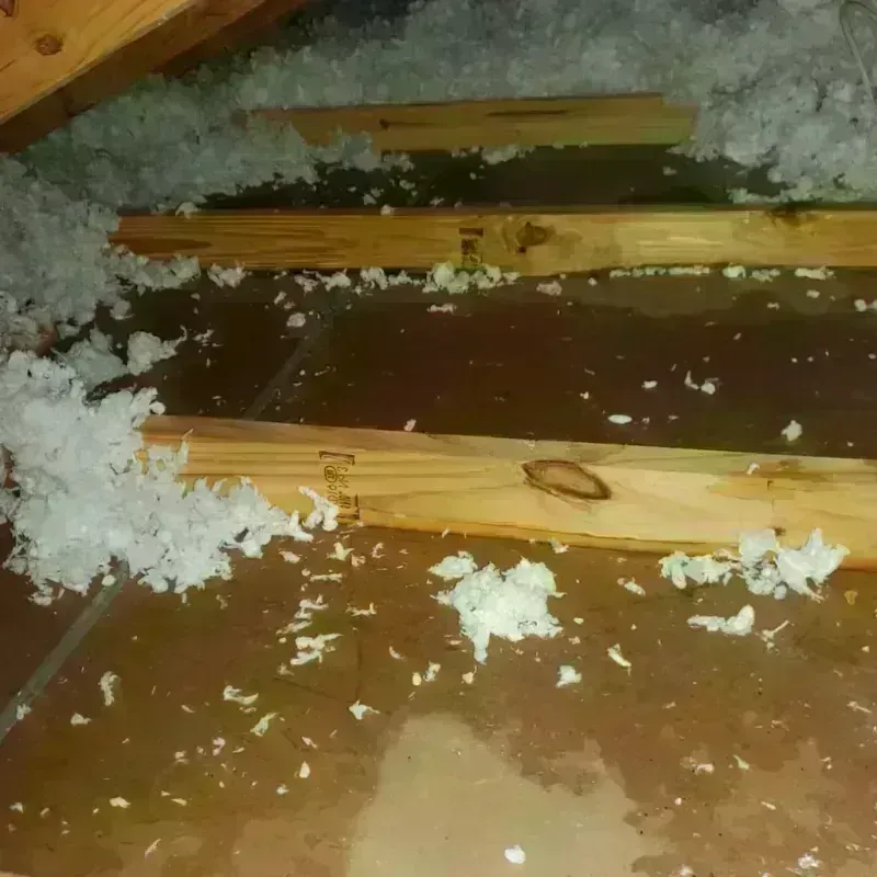 Attic Water Damage in Culberson County, TX