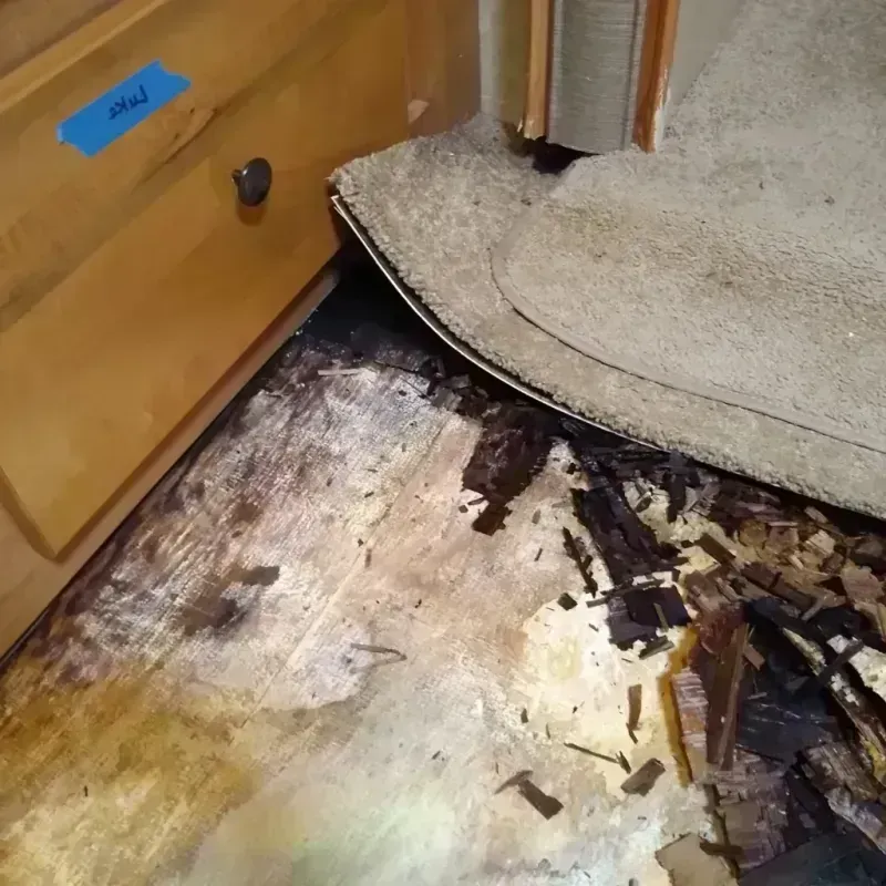 Wood Floor Water Damage in Culberson County, TX